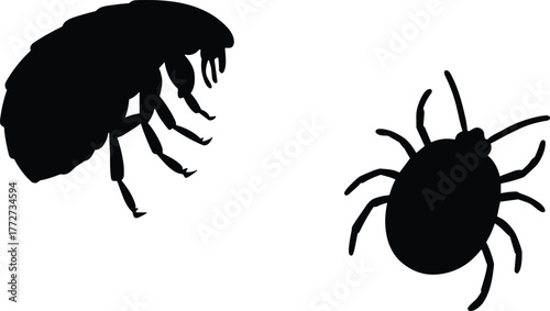 Flea and tick black silhouette illustration, insect pest vector design, parasite control concept, veterinary and pest prevention background, isolated graphic art