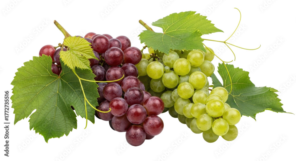 Obraz premium Two bunches of grapes with leaves transparent background cutout png