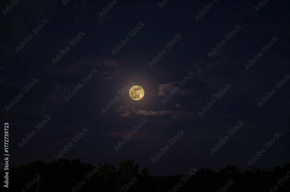 Fototapeta premium Complete lunar orb observed from a southeastern vantage point