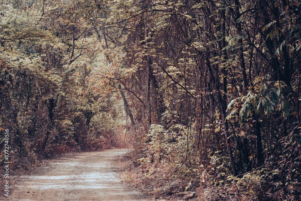 Obraz premium Nauteza