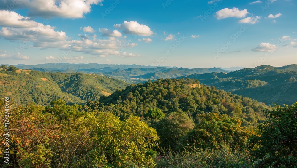 Fototapeta premium Scenic hillside landscape featuring trees and shrubs in a rural area