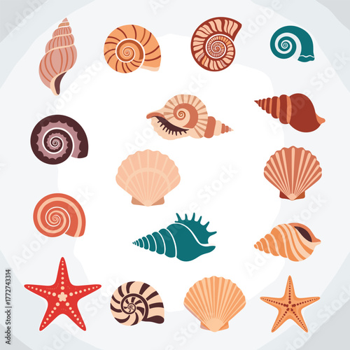 A colorful collection of seashells and starfish arranged in a circular pattern, showcasing various shapes, textures, and hues of marine life.
