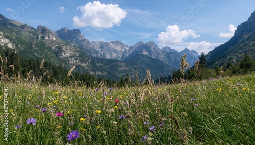 Scenic view of a vibrant green field in a mountainous region