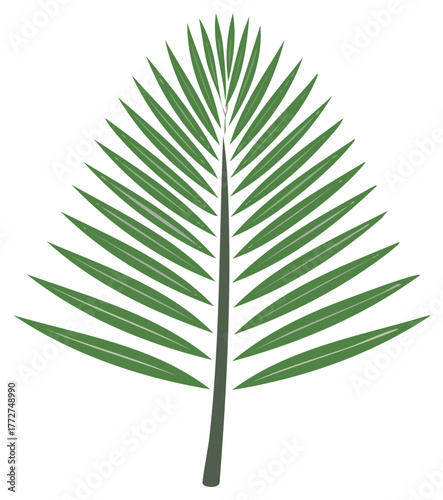 Stylized green palm leaf illustration depicting tropical nature, summer, and exotic growth.