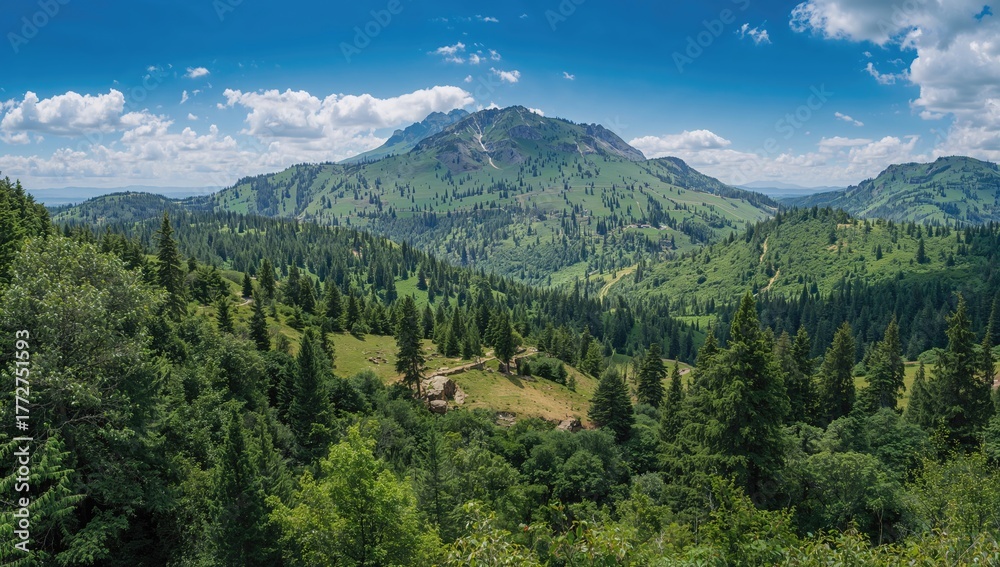 Fototapeta premium The Mountain Region Boasts Exceptional Biodiversity, Featuring One of Europe's Most Diverse Flora and Fauna Species.