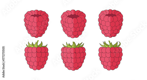 Colorful raspberry designs in multiple styles with fruity details