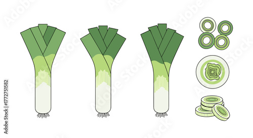 Collection of leek illustrations with whole and sliced variations in flat style