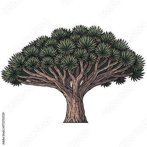 an exotic Socotra dragon blood tree showcasing its flat-topped umbrella crown