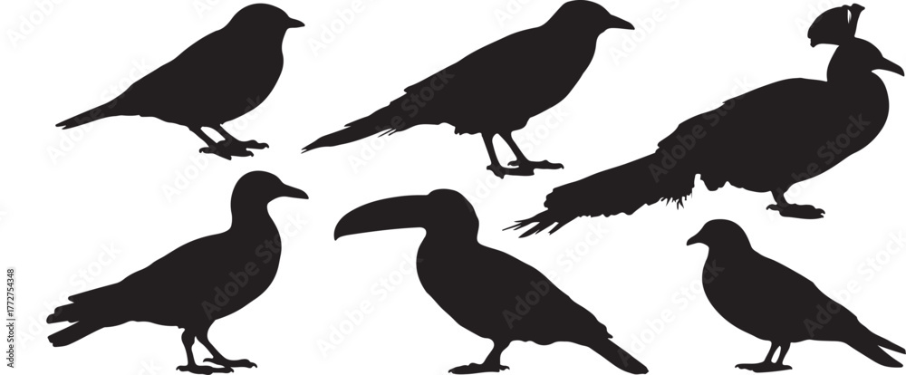 Fototapeta premium Collection of diverse bird silhouettes in a modern vector illustration set for design projects