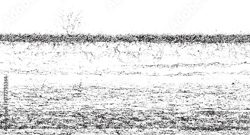 Black and white textured background resembling soil layers and grass roots grunge