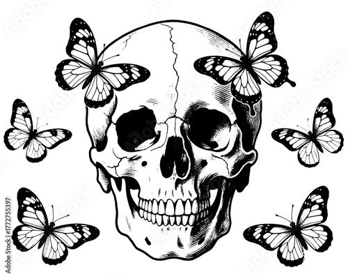 Vintage black-and-white engraving of a human skull surrounded by butterflies — beauty meets mortality, isolated on transparent background.
