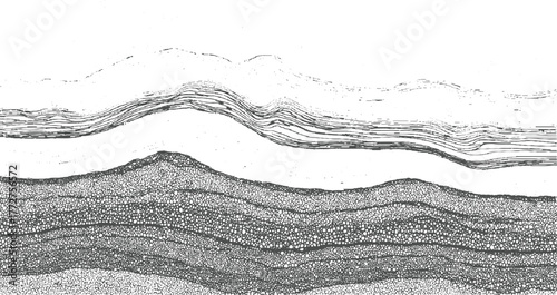 Abstract layered rock strata texture with wavy lines and granular patterns background