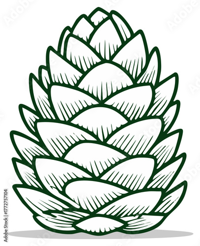 Stylized green outline of a pine cone or hop cone botanical illustration vector graphic