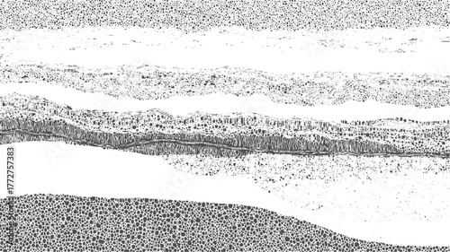 Abstract monochrome pattern of layered textures with organic shapes and dots vector