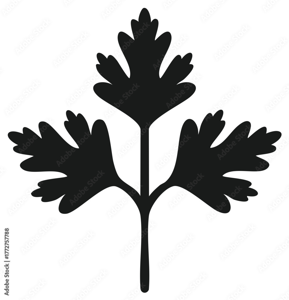 Obraz premium Black Parsley Leaf Silhouette, Vector Illustration, Herb, Ingredient, Healthy Food