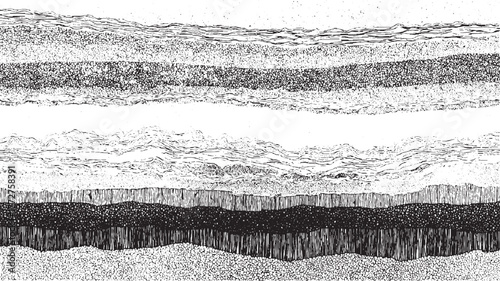 Black and white cross section illustration of geological strata with varied textures and patterns geology