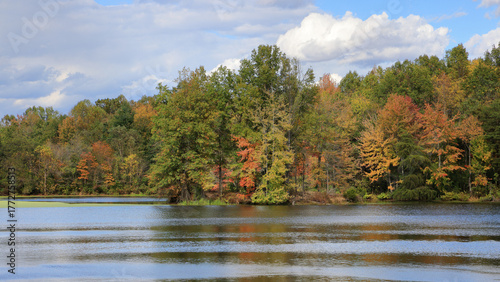 Colorful Trees by Stanfield Lake on a Clear Autumn Day