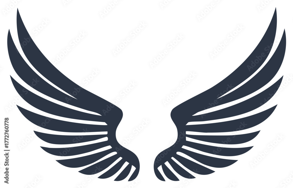 Fototapeta premium Stylized Black Angel Wings Icon Symmetrical Graphic Illustration for a Logo or Emblem