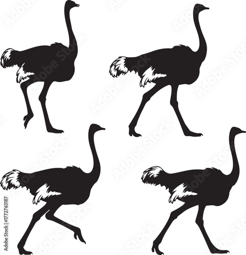 set of ostrich silhouette vector, ostrich bird icon, ostrich silhouette vector illustration