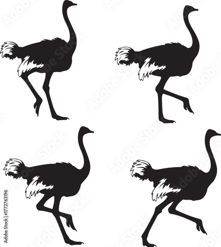 set of ostrich silhouette vector, ostrich bird icon, ostrich silhouette vector illustration