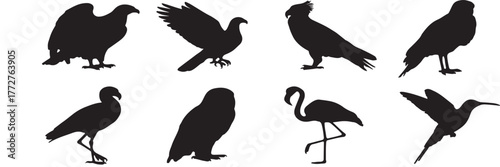 Set of vector images offering versatile graphic elements for modern digital and print media design