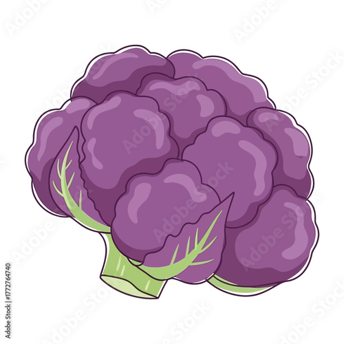 Purple cauliflower vegetable isolated on white background, a healthy and nutritious food source