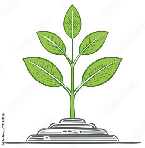 Green seedling with leaves growing from layered soil on a white background