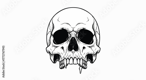 A detailed, menacing hand-drawn human skull illustration with prominent fangs, isolated on a clean white background