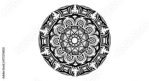 Abstract symmetrical monochrome pattern showcasing intricate details and complex ornamentation in