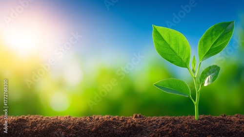 Green shoot pushes through soil surface new life appears as sprout emerges from earth