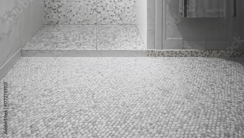 Granite floor mosaic featur...