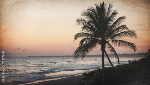 Silhouette of a palm tree a...