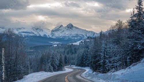 Forests, Highways, Snowy Pe...