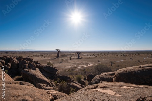 Island of Kubu in the Afric...