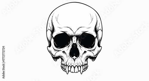 Illustration of a skull on a white background