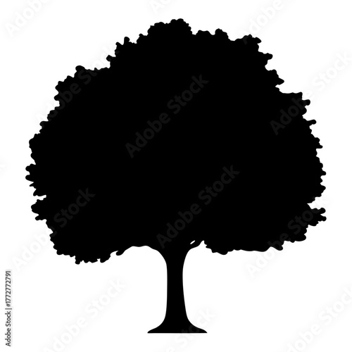 Dense tree silhouette icon with full foliage, Black silhouette of a large tree with dense, rounded foliage and a narrow trunk, isolated on white background for nature-themed visuals.
