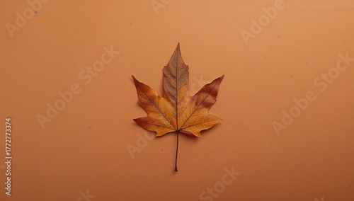 Decayed fallen leaf against...