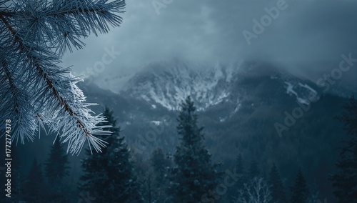 Frozen fir tree brunch used...