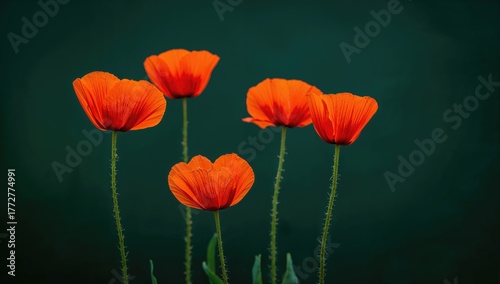 Four vibrant burnt orange p...