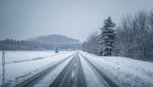 Snow falls throughout the w...