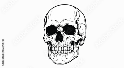Striking black and white line art illustration of a human skull with an intense, menacing expression, perfect for graphic design or tattoo concepts