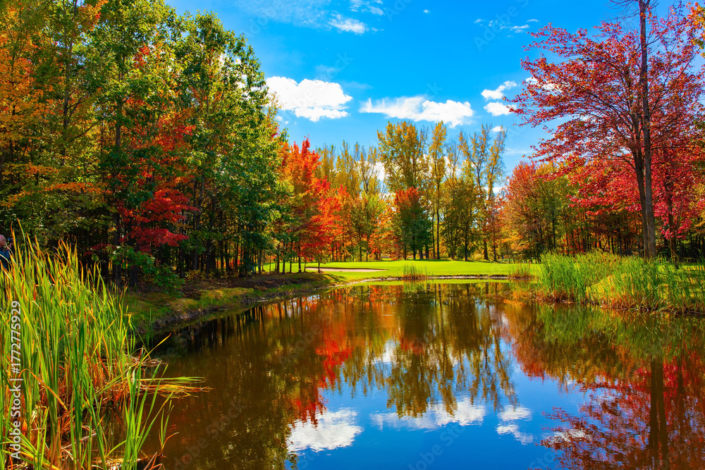 Fototapeta premium The smooth water of the pond