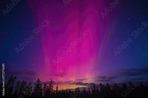Wallpaper Mural Radiant pink and violet auroras shimmering through the dark heavens, showcasing nature's splendor with colorful silhouettes of trees under a starry sky Torontodigital.ca