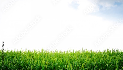 A plain white backdrop feat...