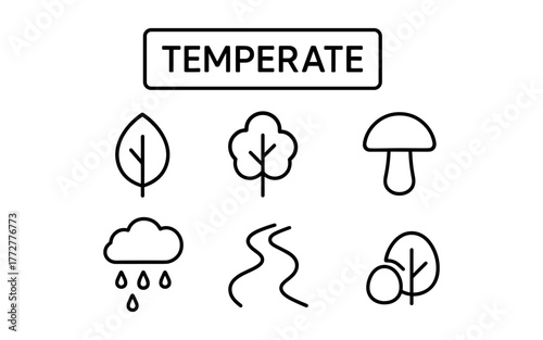 Outline icons of temperate climate elements featuring trees and weather symbols