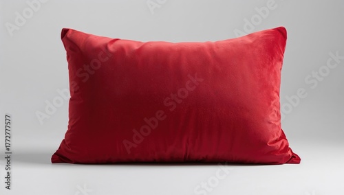 Crimson velvet cushion agai...