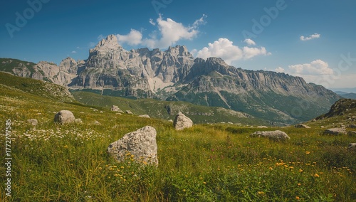 Summer scenery of a mountai...