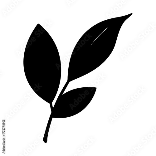 A simple yet elegant black leaves on a white background design