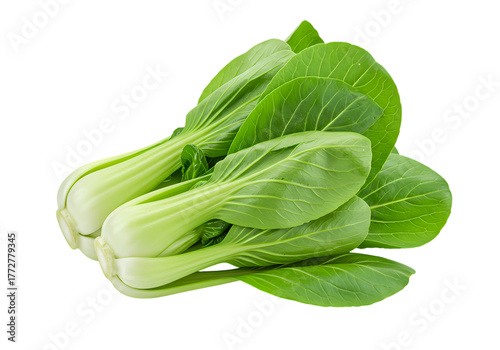 Green Bok Choy Asian Cabbage on white background