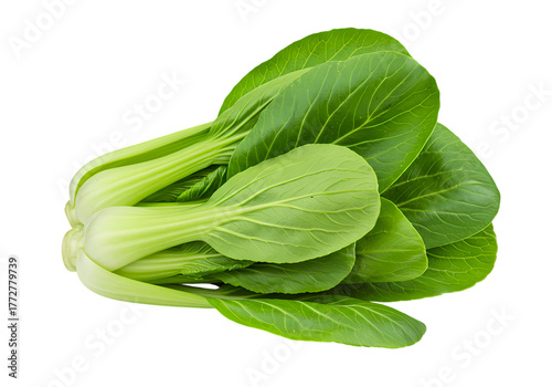 Green Bok Choy Fresh Vegetable on white background